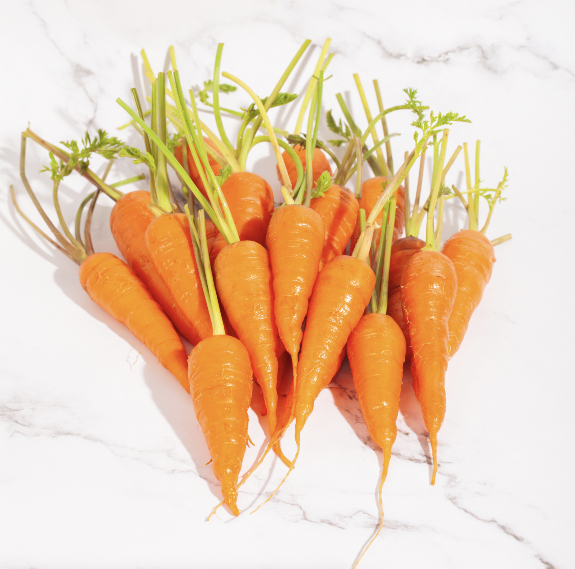 Organic Baby Carrot